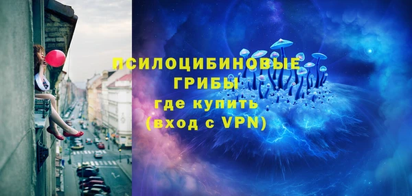 mdpv Рославль