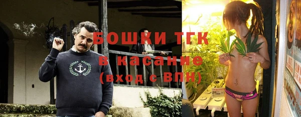 тгк Армянск