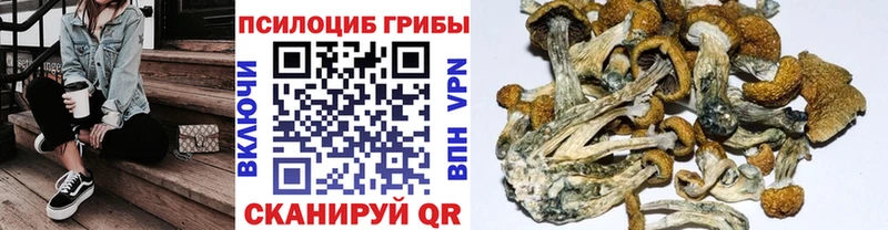 закладка  Мамадыш  Галлюциногенные грибы мухоморы 